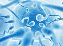 Какой должна быть здоровая сперма: оттенок, консистенция, структура, фото
