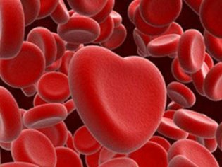 Почему важно перед зачатием провериться партнерам на совместимость по группе крови и резус-фактору?