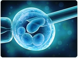 Хетчинг эмбрионов при ЭКО: что это такое и с какой целью его выполняют?