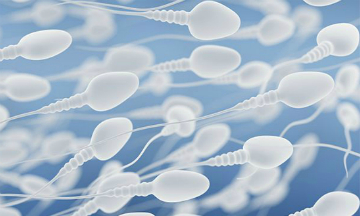 Почему сперма может быть слишком густой: 3 причины обратиться к врачу