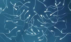Как провести самодиагностику спермы в домашних условиях